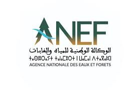 الوكالة الوطنية للمياه والغابات