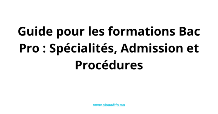 Baccalauréat Professionnel