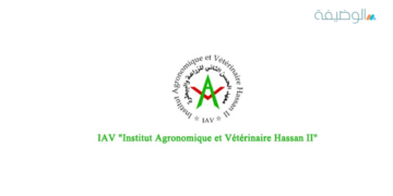 IAV