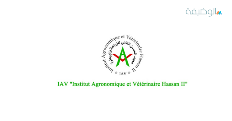 IAV