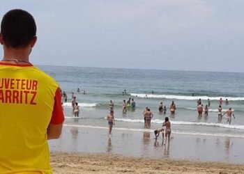 maître-nageur sauveteur