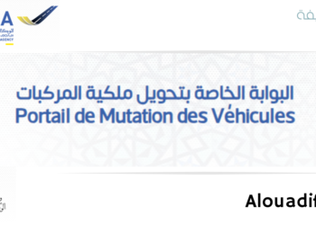 mutationvehicule.ma