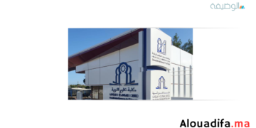 سلك الإجازة في التربية