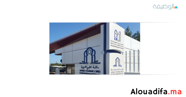 سلك الإجازة في التربية