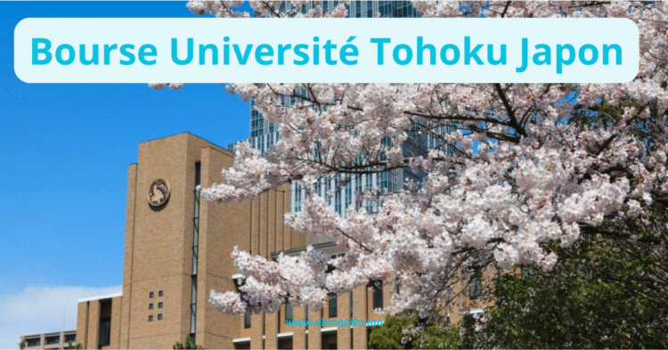 Bourse Université Tohoku Japon