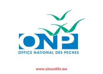 Office National des Pêches Recrutement de 3 cadres à pourvoir