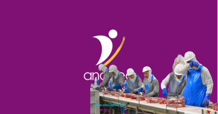 Offre d'emploi ouvrières Boujdour Figuig
