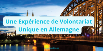 Une Expérience de Volontariat Unique en Allemagne