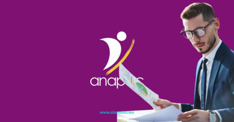 anapec Cadre Financier