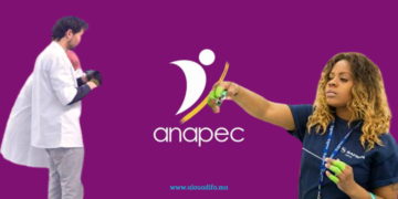 anapec Emploi câblage