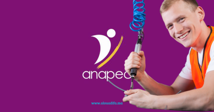 anapec Operateur De Production De L'industrie Automobile