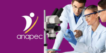 anapec Technicien De Laboratoire