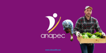 anapec ouvrier