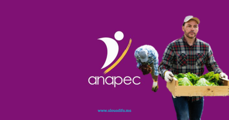 anapec ouvrier