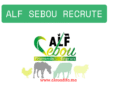 Alf Sebou recrute