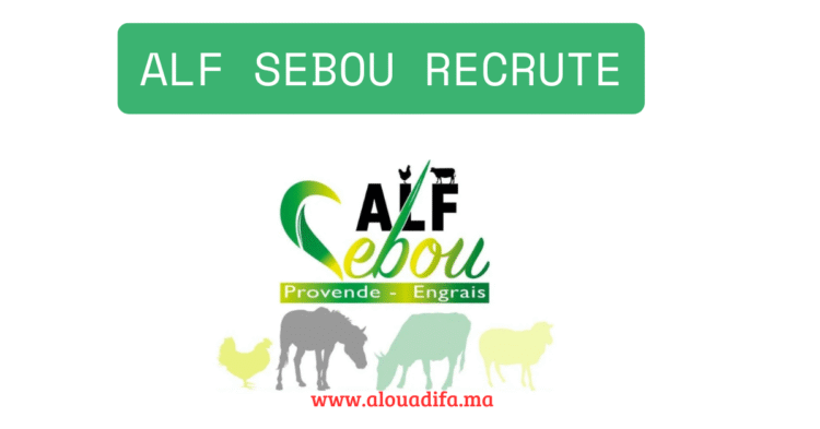 Alf Sebou recrute