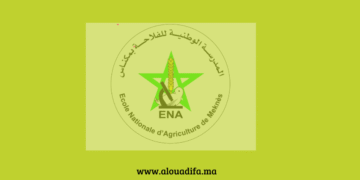 كونكور المدرسة الوطنية للفلاحة بمكناس 2025