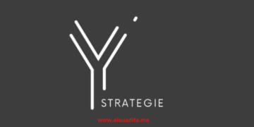 Offres d’emploi Y STRATEGIE