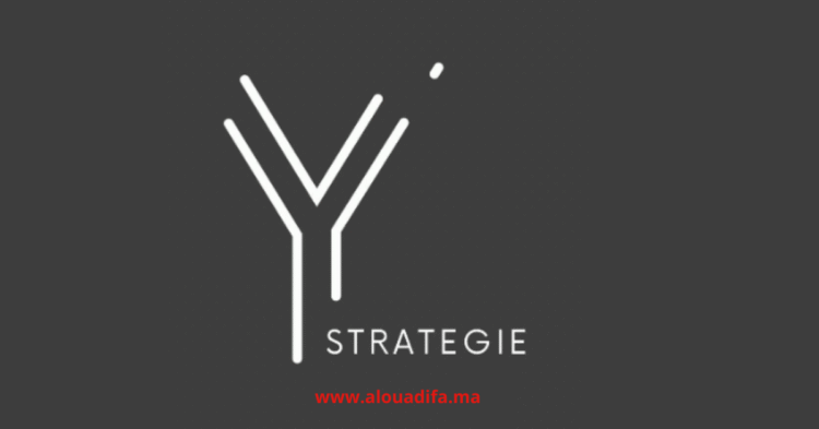 Offres d’emploi Y STRATEGIE