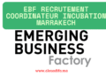 EBF recrutement coordinateur incubation Marrakech