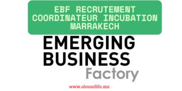 EBF recrutement coordinateur incubation Marrakech