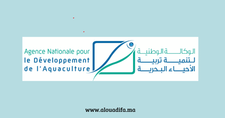 مباراة توظيف ANDA 2025
