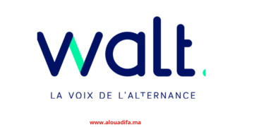 Offres d'Emploi Association Walt
