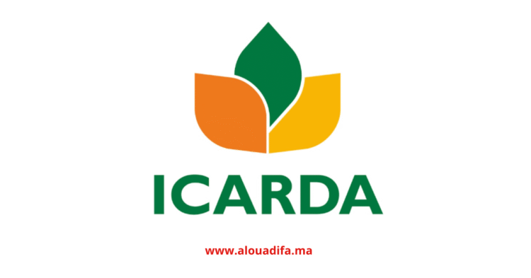 Offres d'Emploi ICARDA