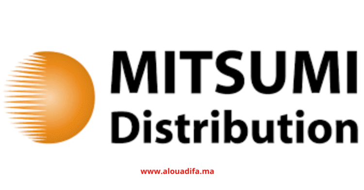 Offres d'Emploi MITSUMI Distribution
