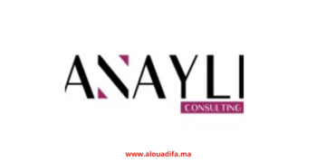 Offres d'emploi ANAYLI Consulting