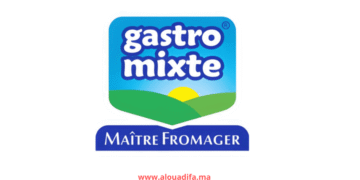 Offres d'emploi Gastromixte