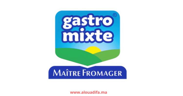Offres d'emploi Gastromixte