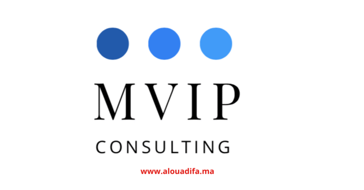 Offres d'emploi MVIP Consulting