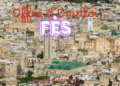 offre d emploi fes​
