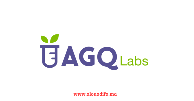 توظيف في AGQ Labs
