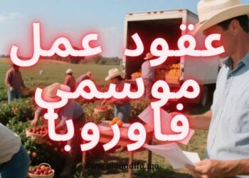 دليل عقود العمل الموسمية
