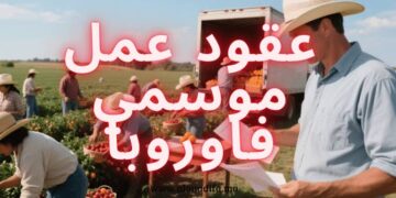 دليل عقود العمل الموسمية