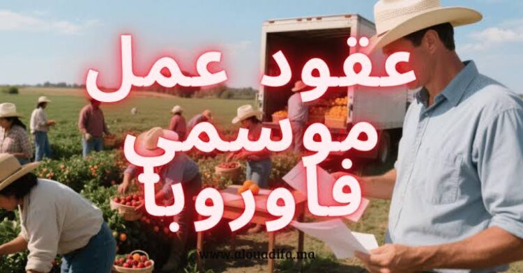 دليل عقود العمل الموسمية