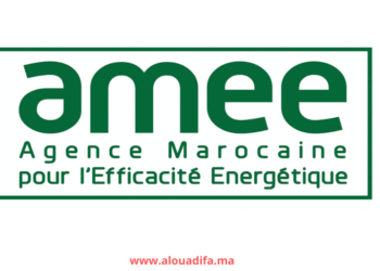 AMEE Recrutement 2025
