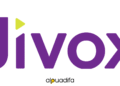 JIVOX recrute