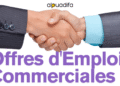 offres d'emploi commercial