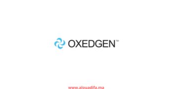 Offres de stage OXEDGEN