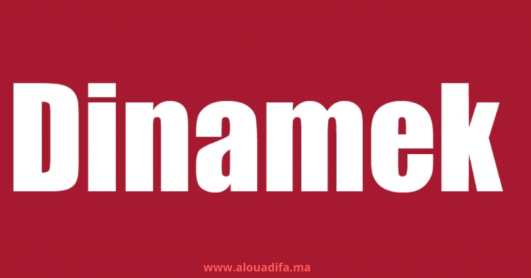 Offres d'emploi Dinamek