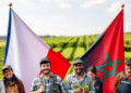 Offres d’emploi France