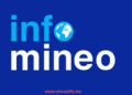 Offres d'emploi Infomineo