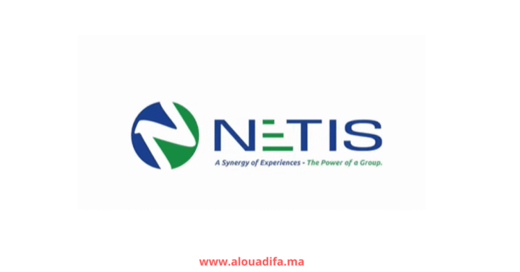 Offres d’emploi NETIS Group