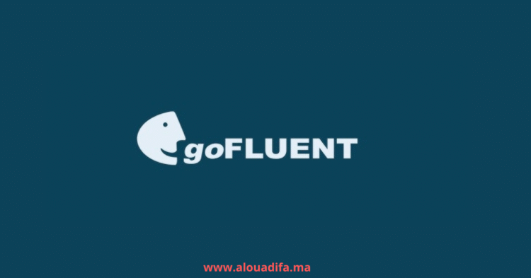 Offres d'emploi goFLUENT