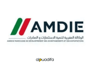 Offres d'Emploi Alwadifa à l'AMDIE : 10 Postes Ouverts en 2025 3 alwadifa