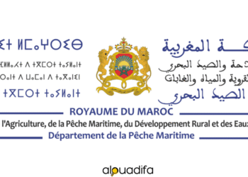 Alwadifa : 35 Postes d’Administrateur 2ème Grade (Échelle 11) au Ministère de l’Agriculture – Dépôt avant le 12 Août 2025 1 alwadifa