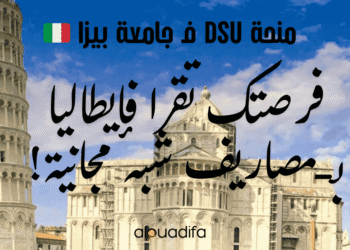 Bourse DSU Université de Pise